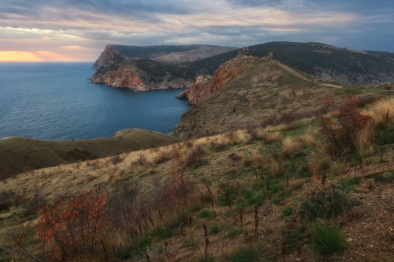 , Денис Сорокин