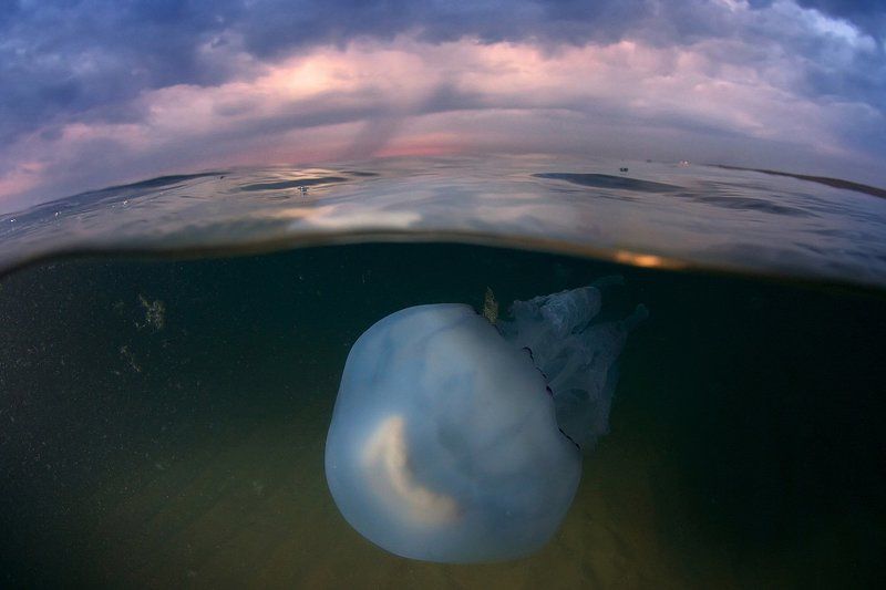 в преддверии грозы фото превью