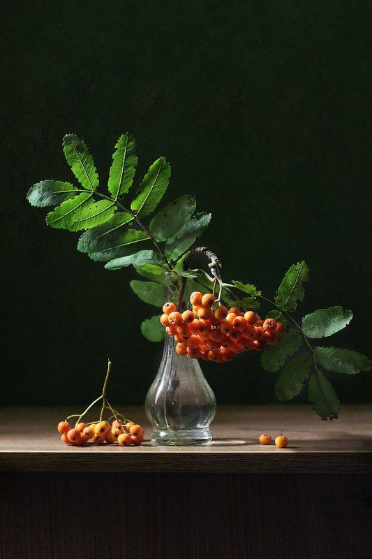 ***** фото превью