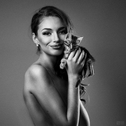 kittens