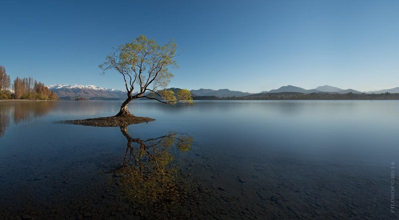 Озерo Ванака. Новая Зеландия фото превью