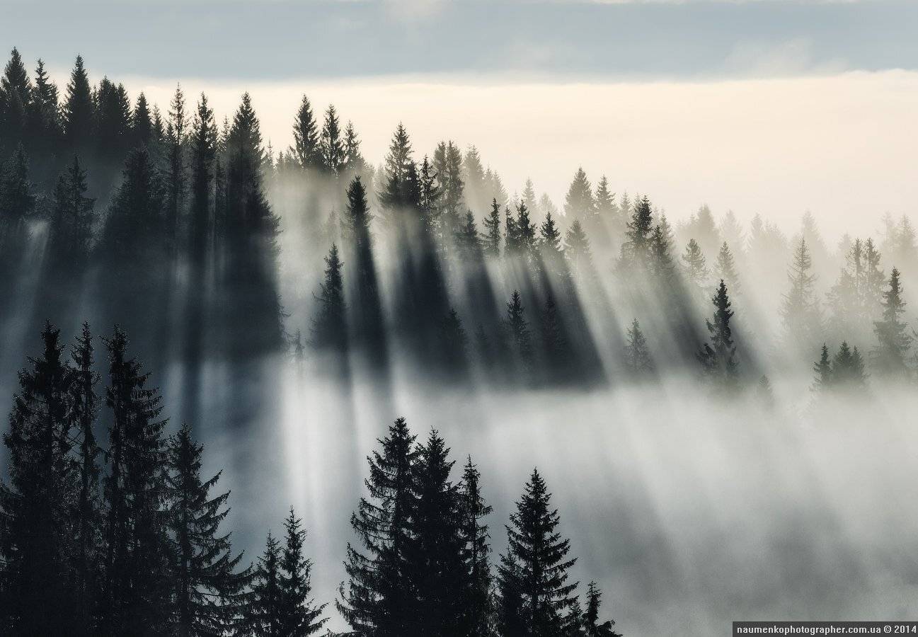 высокие,	горы,	лес,	осень, пейзаж,	рассвет,	словакия, татры,	туман, Александр Науменко