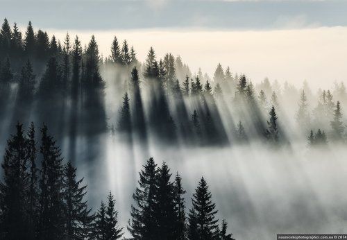 Лучистые Татры.