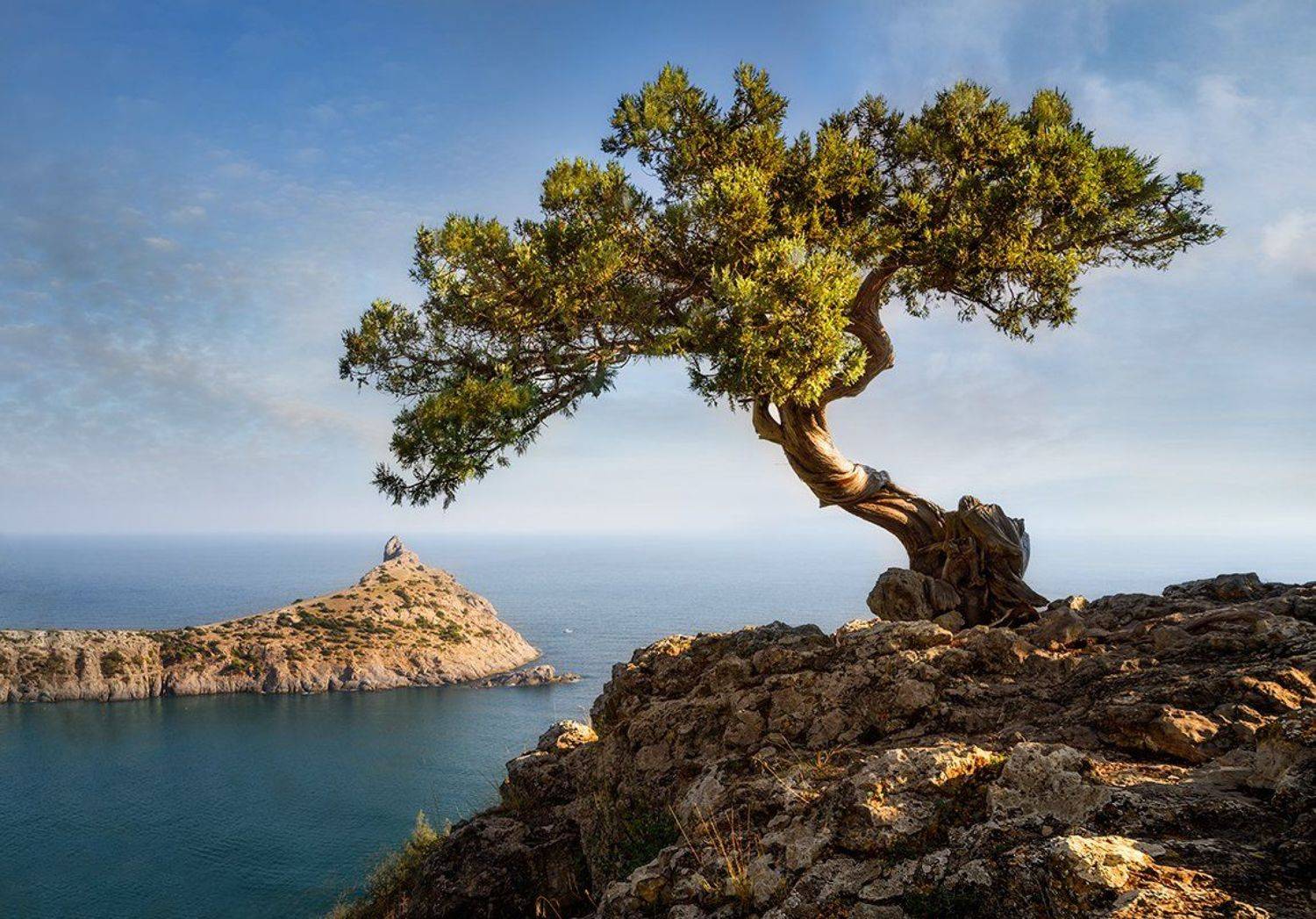 капчик, караул-оба, новыйсвет, Сергей Хромов