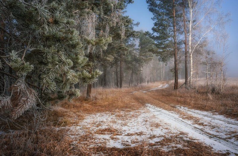 Ноябрьским утром... фото превью