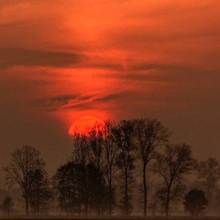 , Pawel Plucinski