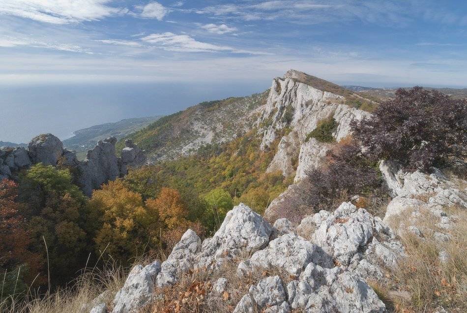 , Саша  Вайсберг / Waldschnepfe /