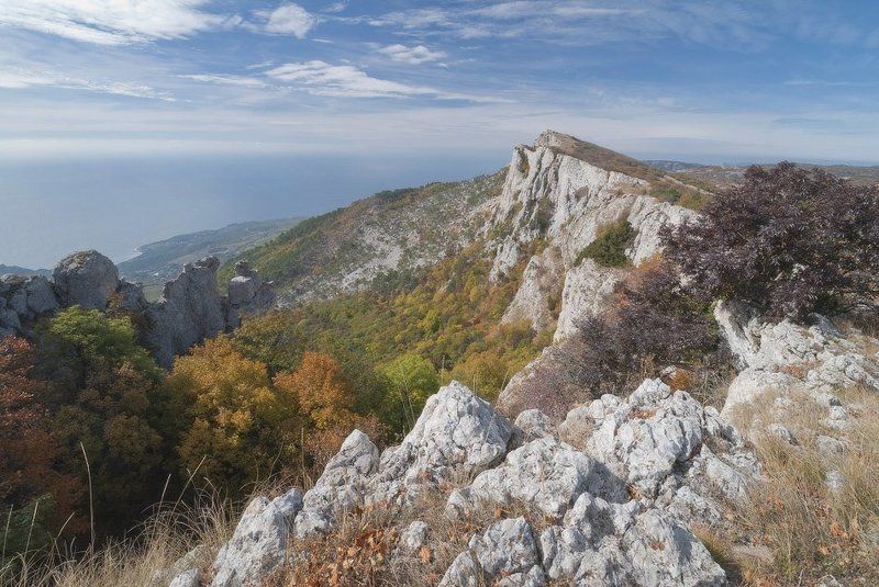 Дело было в октябре... фото превью