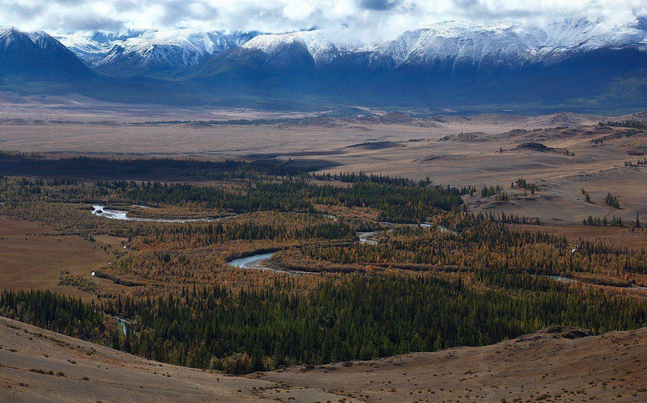 , Дмитрий Д.