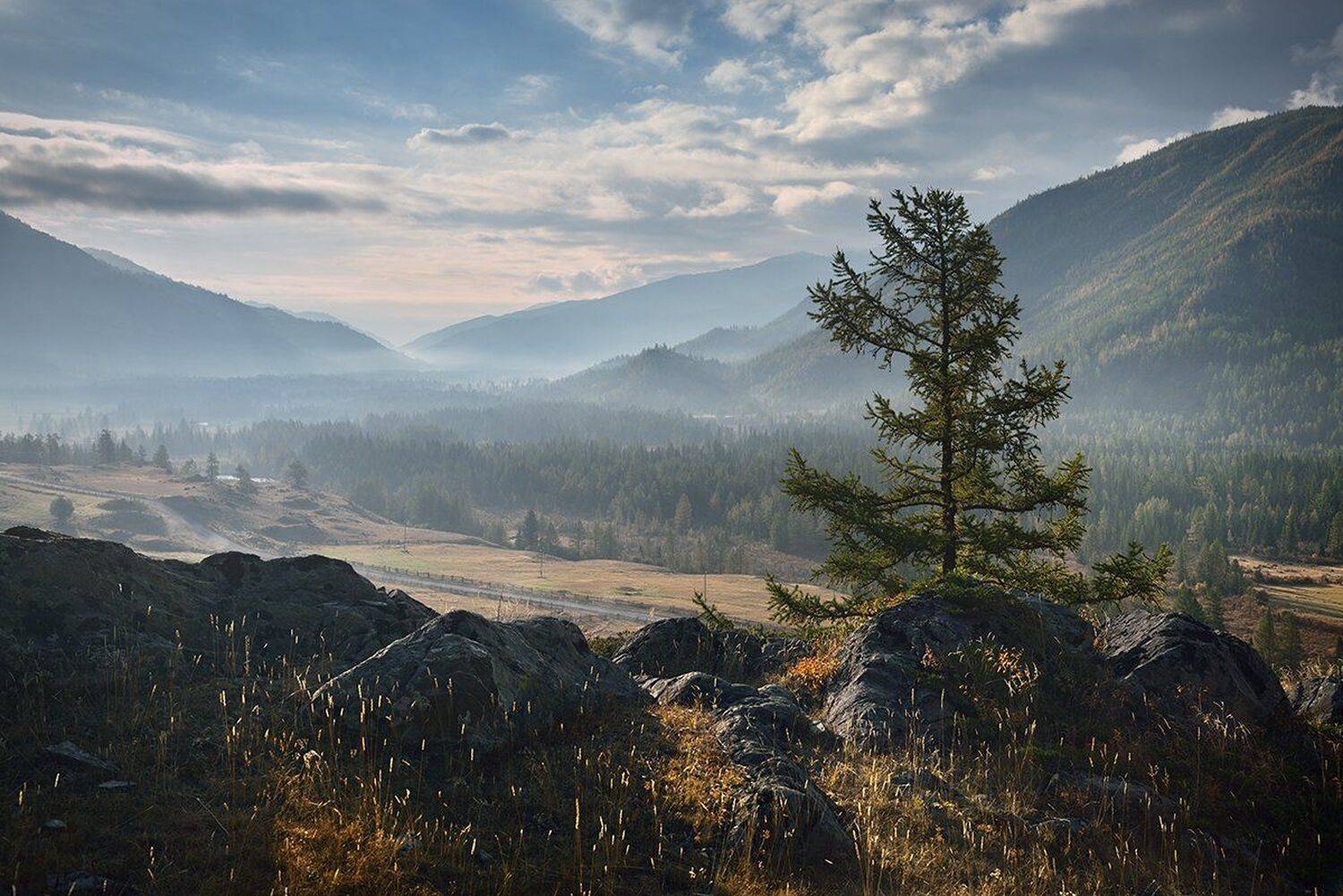 алтай, горы, дерево, джазатор, долина, камни, лес, пейзаж, природа, раннее, сибирь, скалы, туман, утор, холодное, Дмитрий Антипов