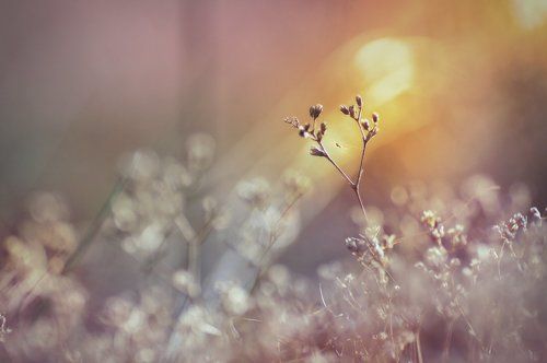 С нежностью о лете