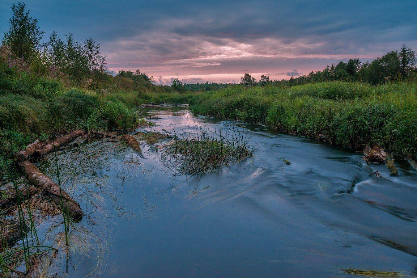 Вологодчина, Кема, Протока, Роман Горячий