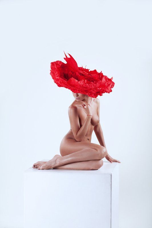 Red flower фото превью