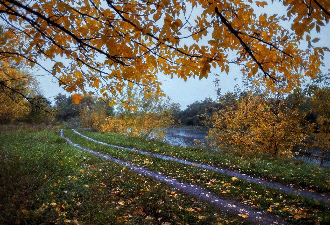 , Игорь Мелекесцев