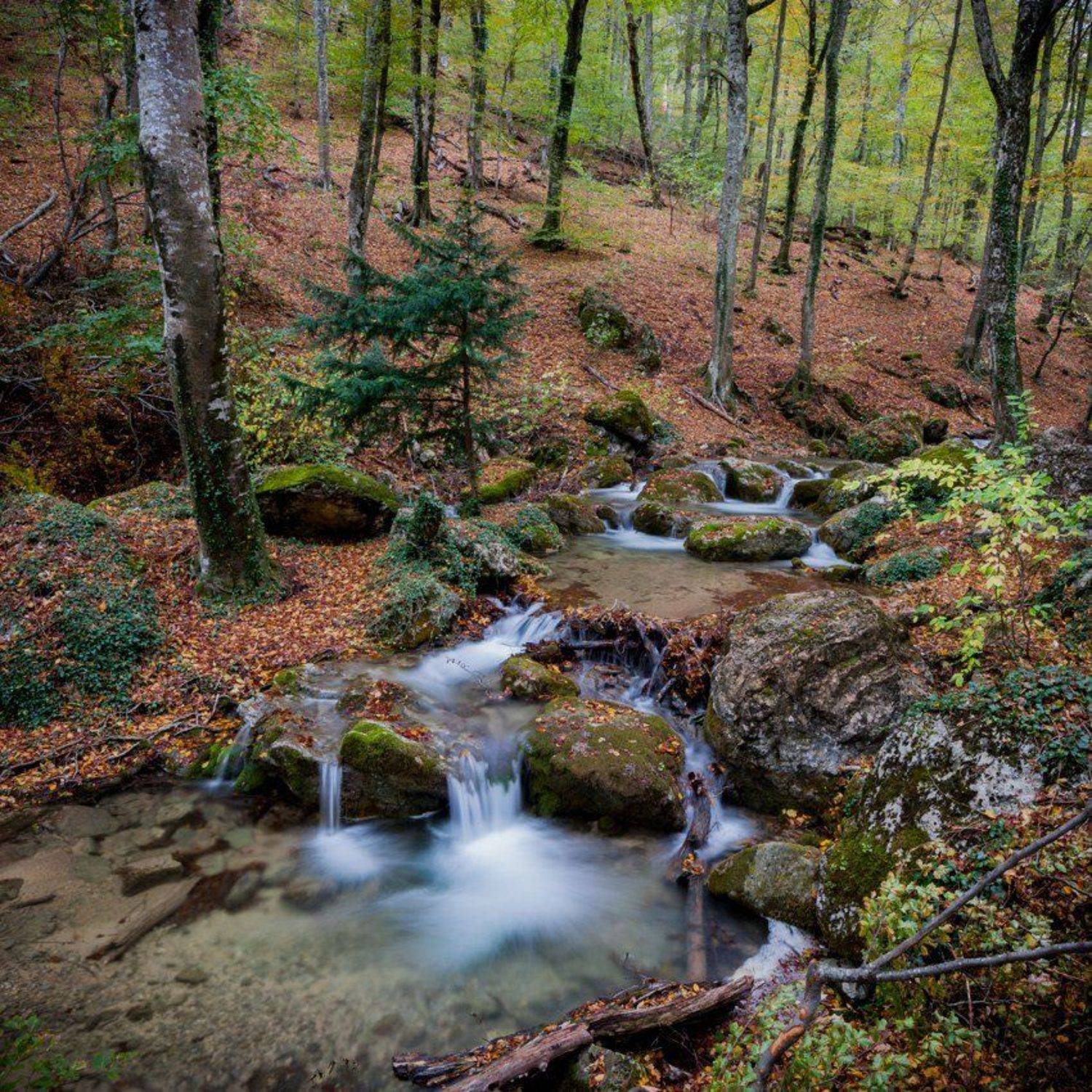 , Гвановский Владимир