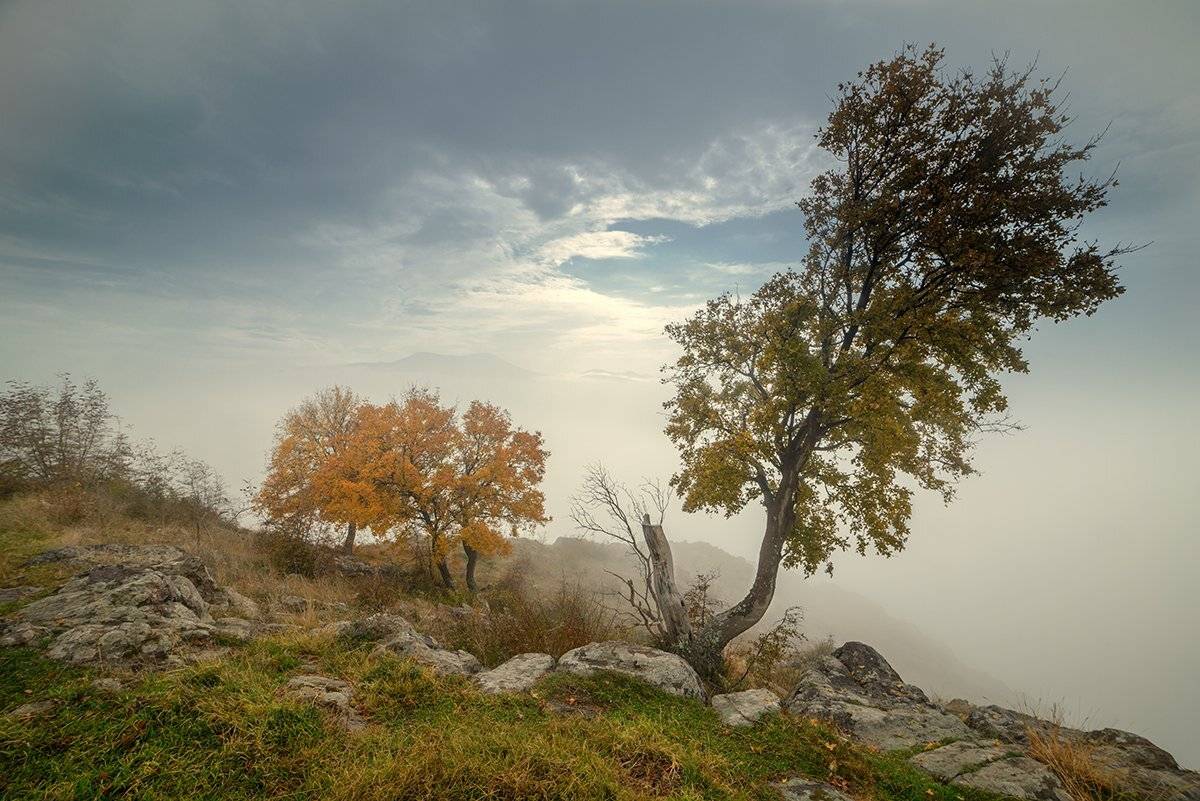 , Васил Анастасовски