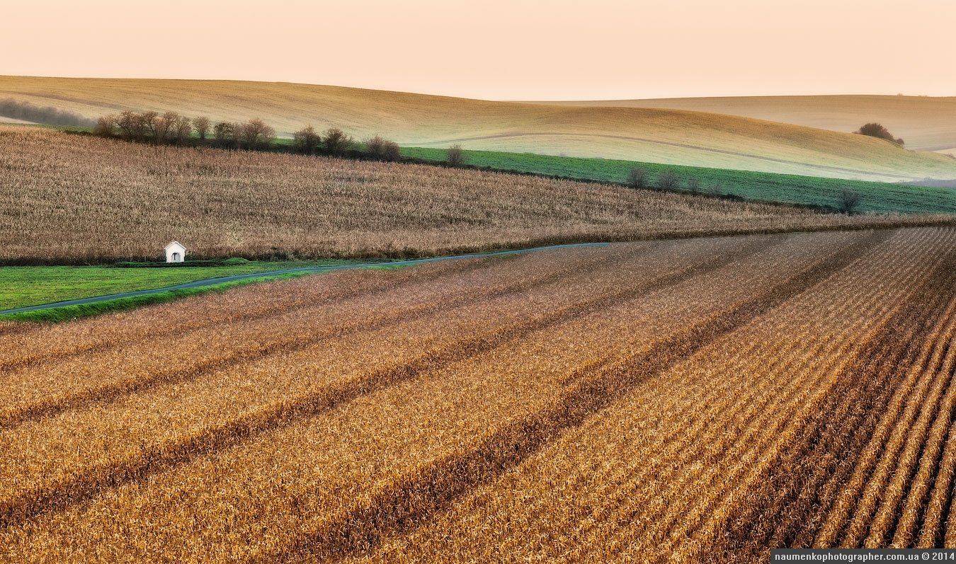 волны,	осень,	пейзаж,	поле, чехия,	южная моравия, каплычка, Александр Науменко