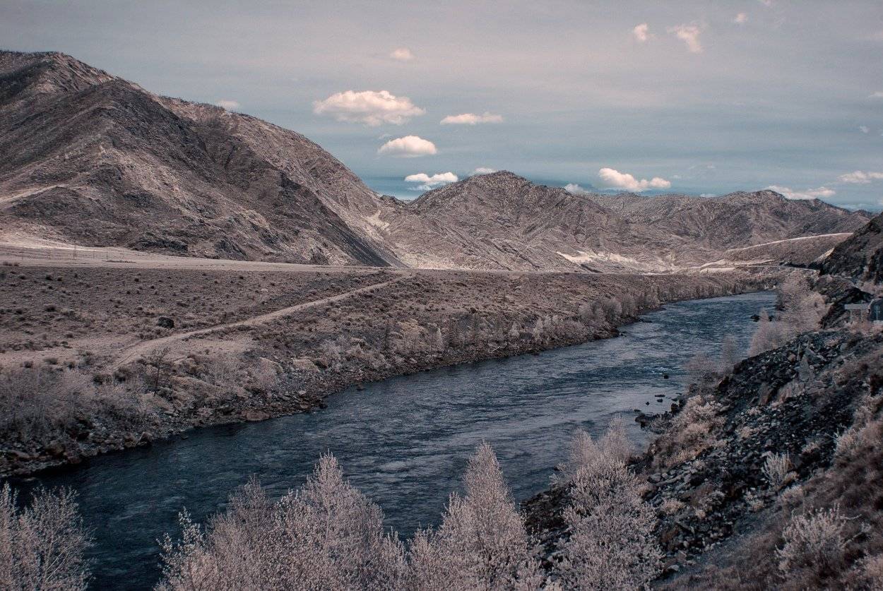 , Николай Ляпин