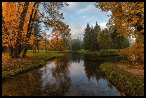 про_Свет Осени...