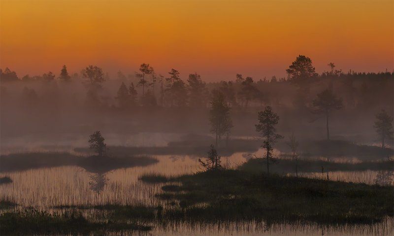 Болото, Восход, Карелия, Лето, Пейзаж, Природа, Путешествие, Рассвет, Север, Туман, Туризм, Утро Туманы фото превью