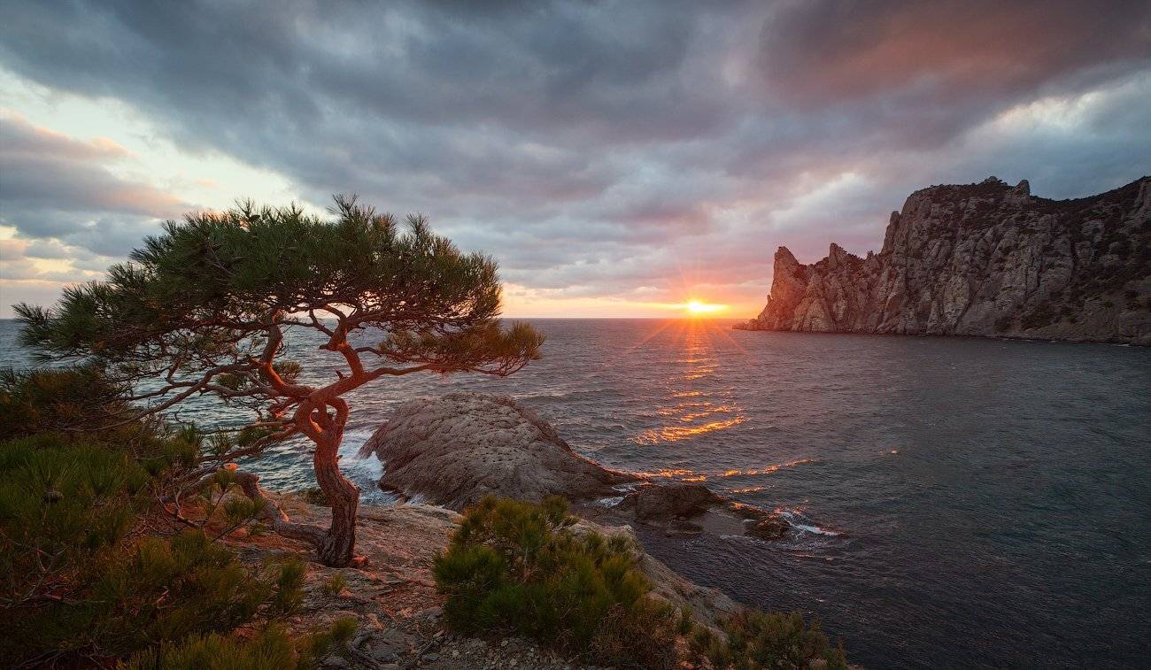 , Денис Сорокин