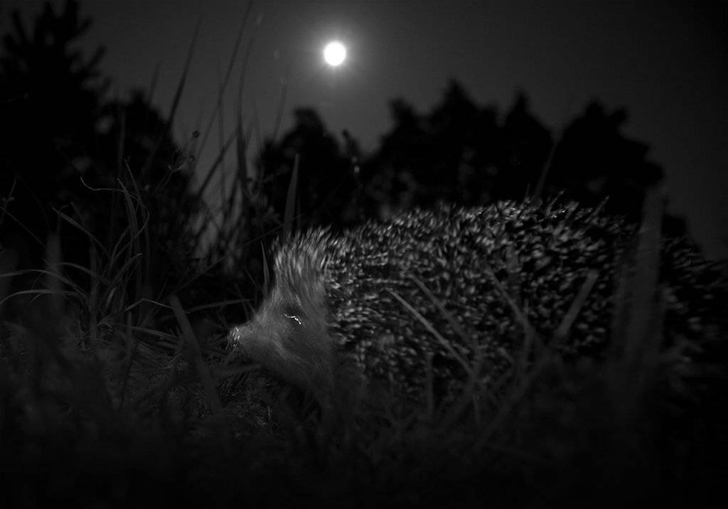 , Валерия Зверева