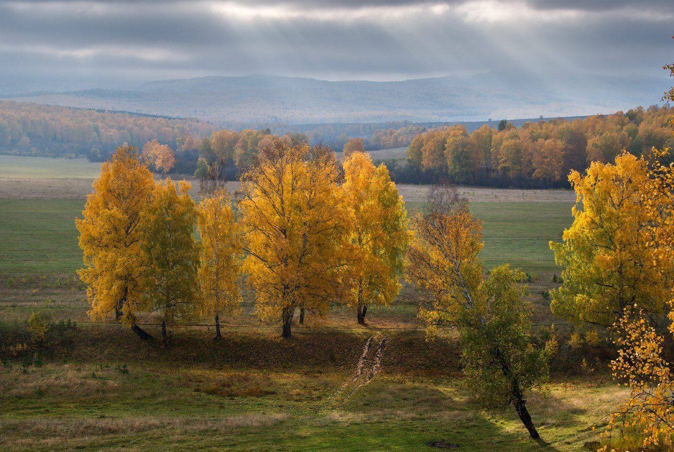 , Владимир Ляпин