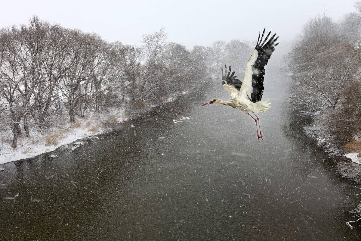 , Валерий Кондратов