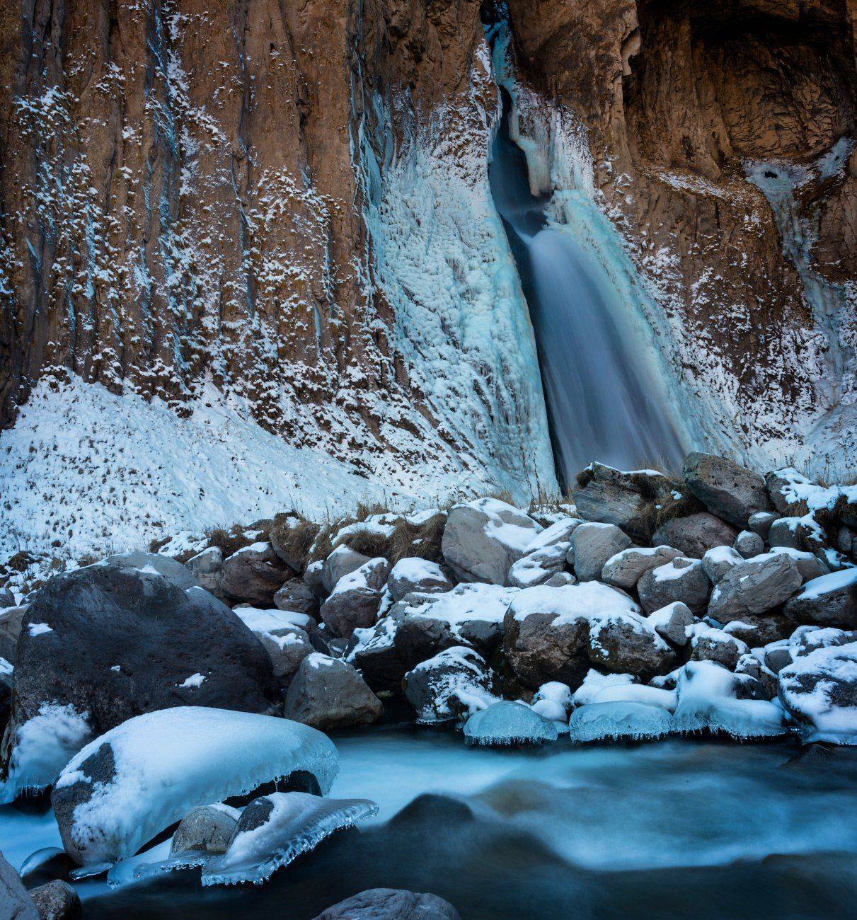 , Елена Брежицкая