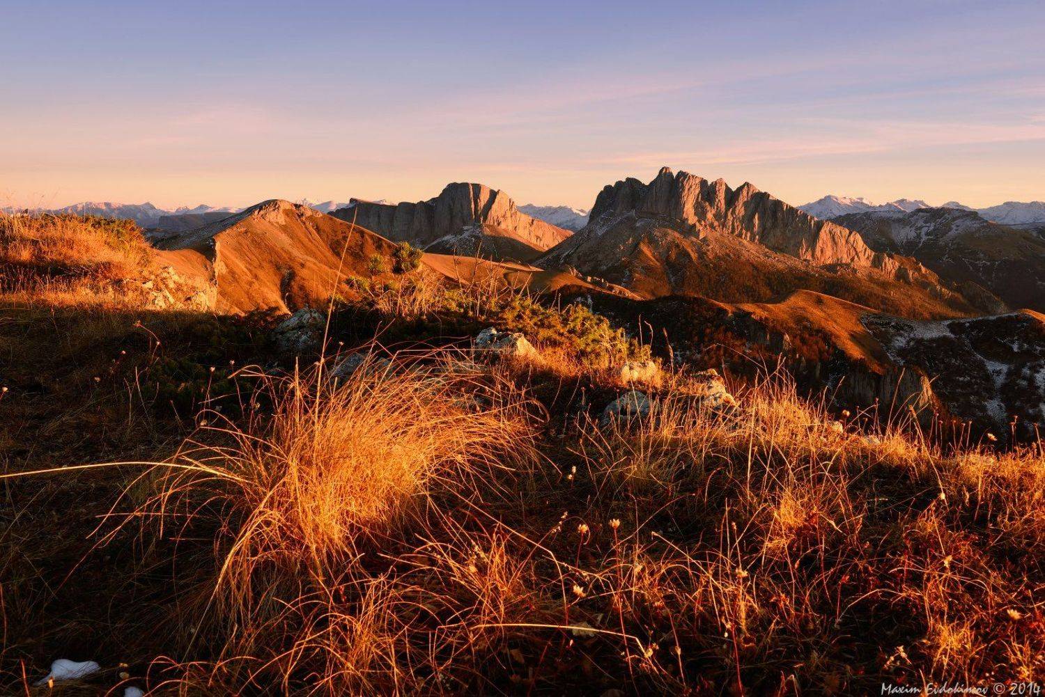 , Максим Евдокимов