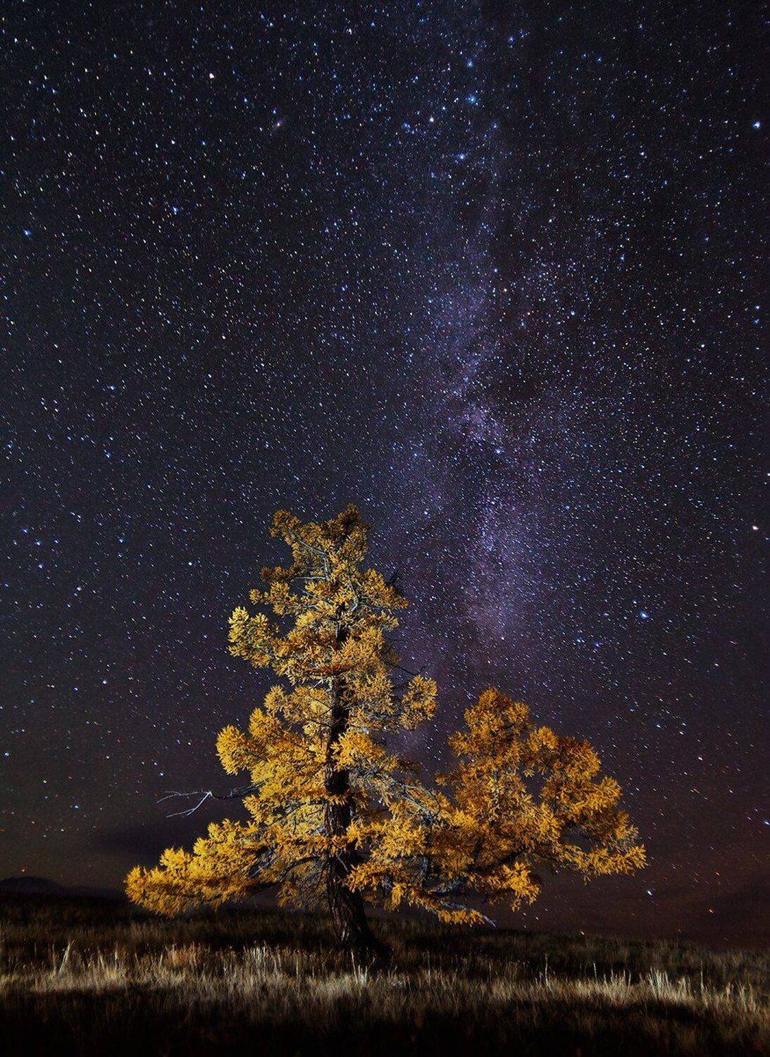 , Сутковой Сергей