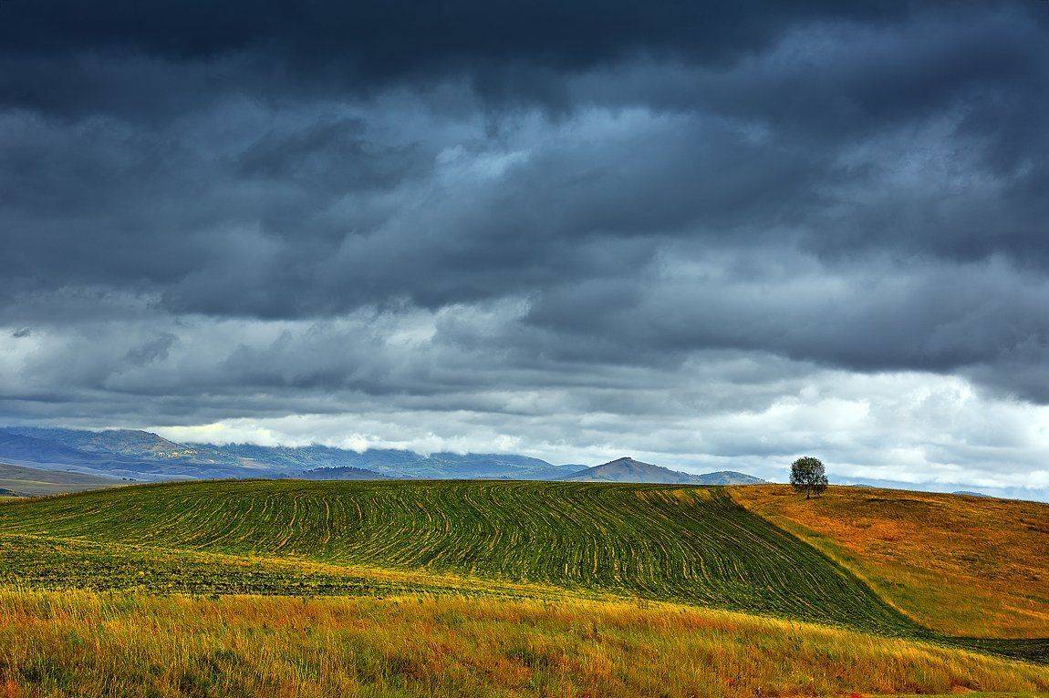, Качурин Алексей