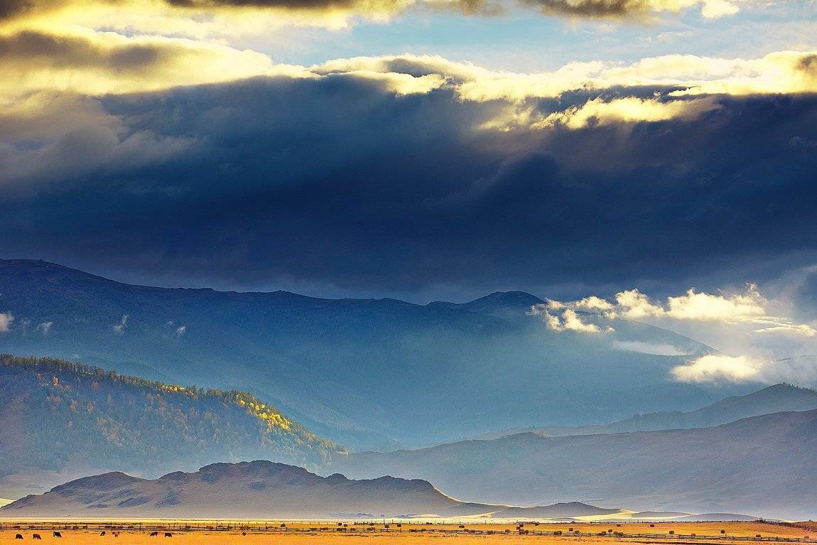 , Качурин Алексей