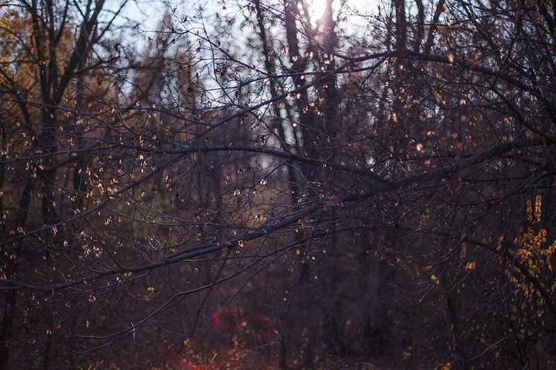 * фото превью