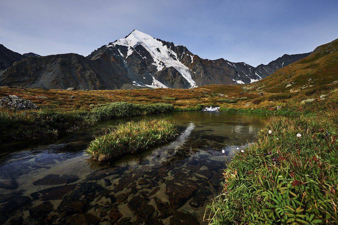 , Михаил Зверев