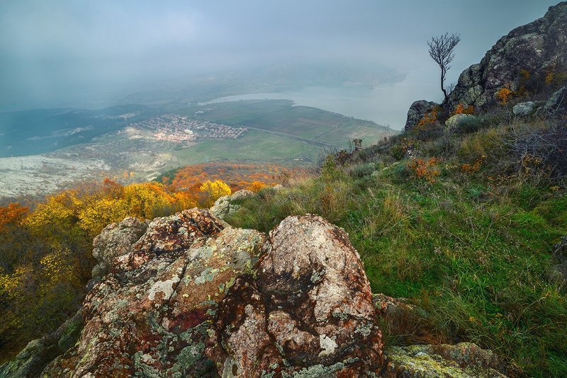 High фото превью