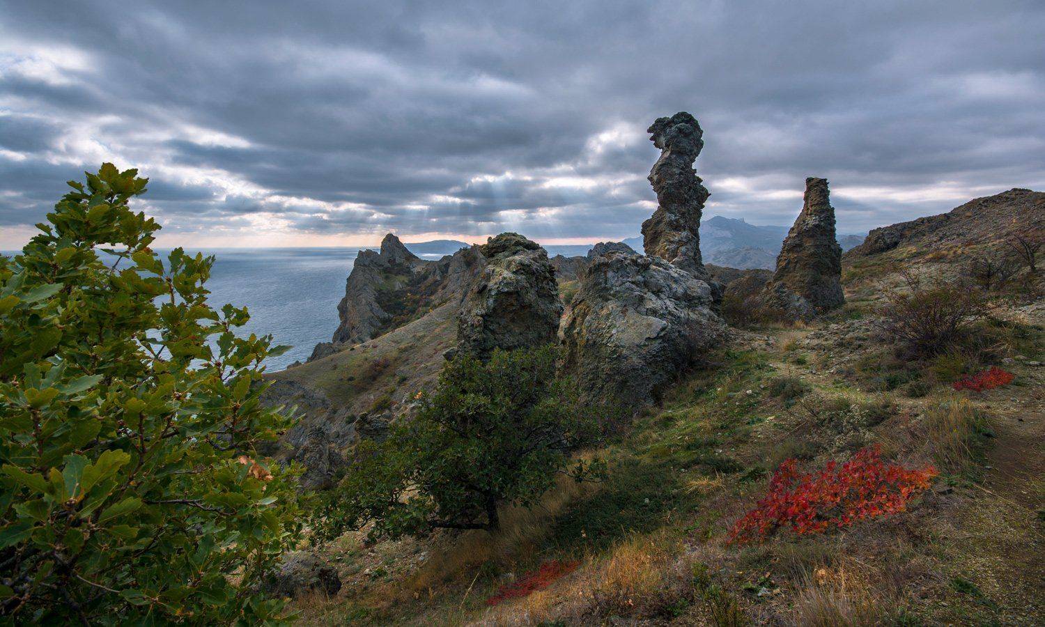 , Маркович Михаил