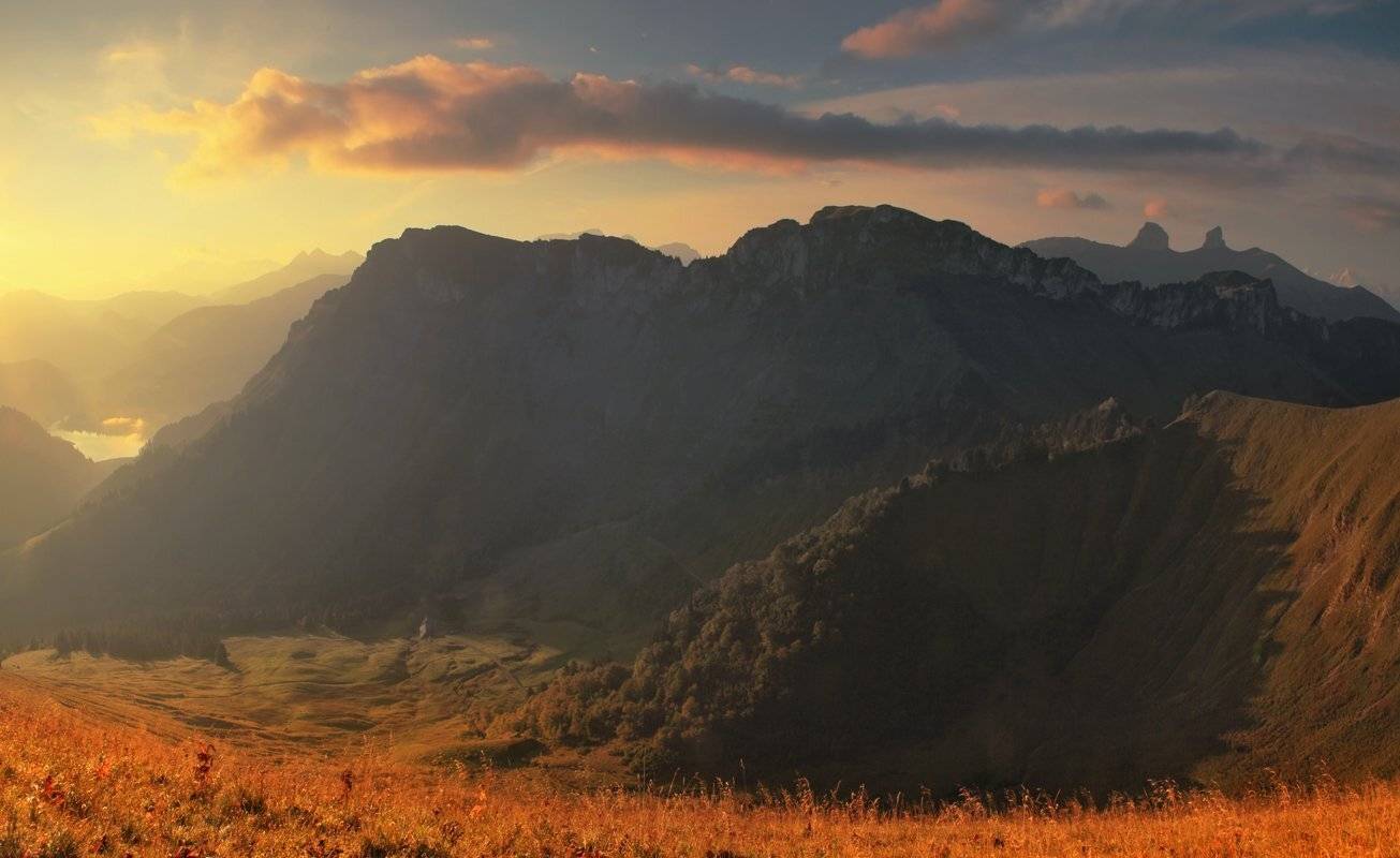 swiss, Матвеев Николай