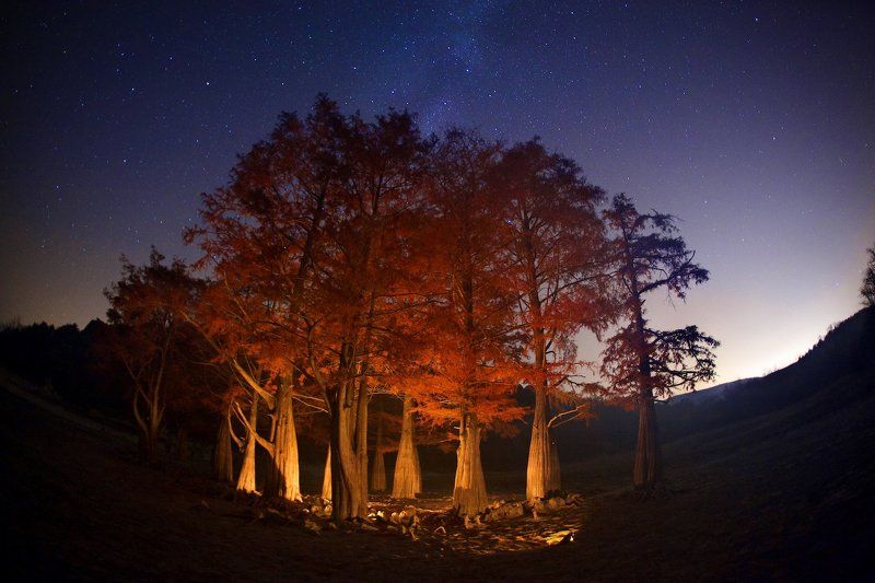 Сказочная ночь фото превью