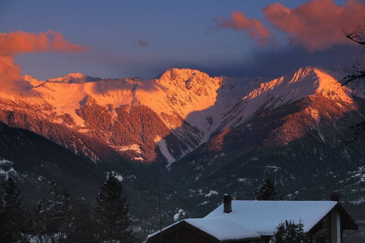 swiss, Матвеев Николай