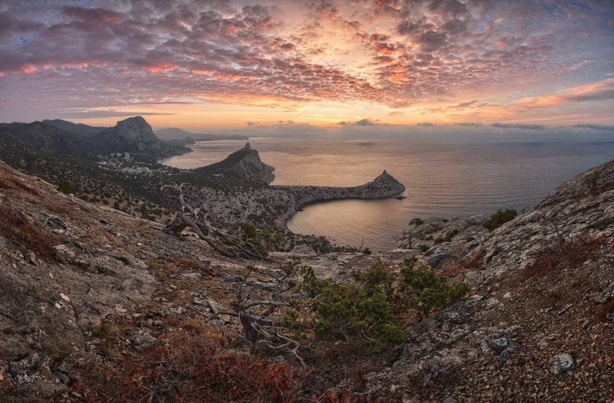 , Денис Сорокин