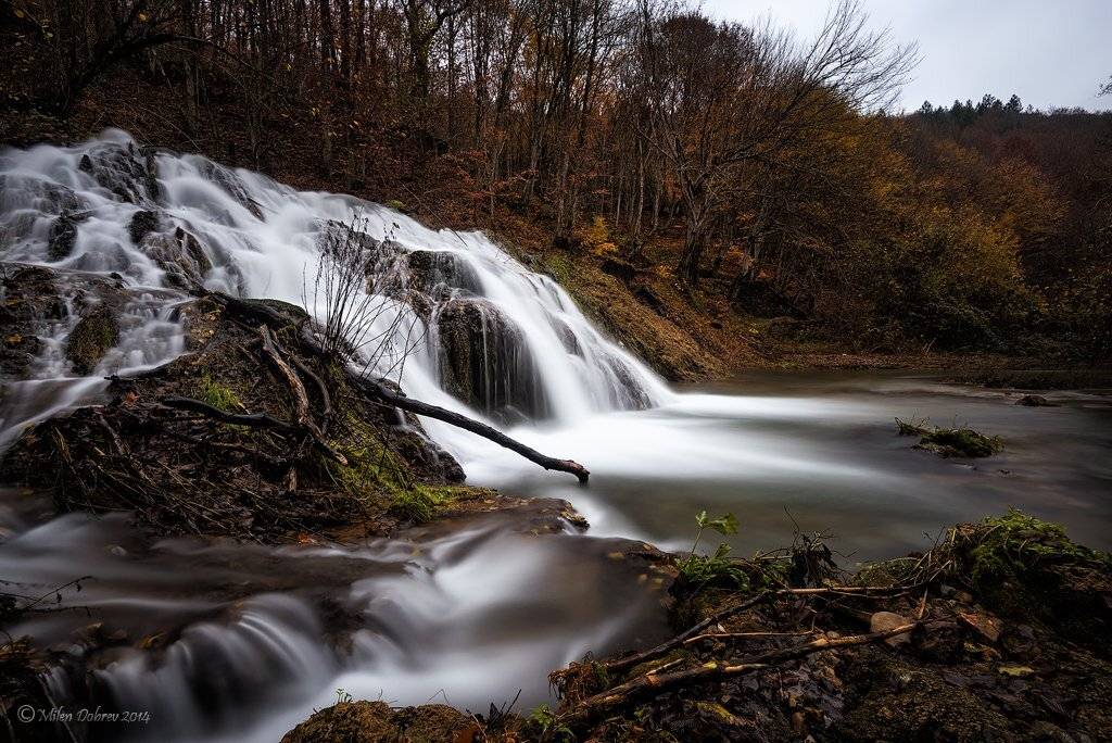 , Милен Добрев