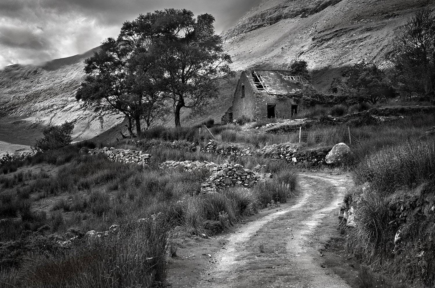 , Danny Vangenechten