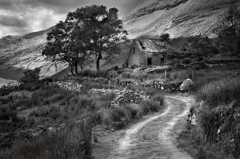 Dromluska фото превью