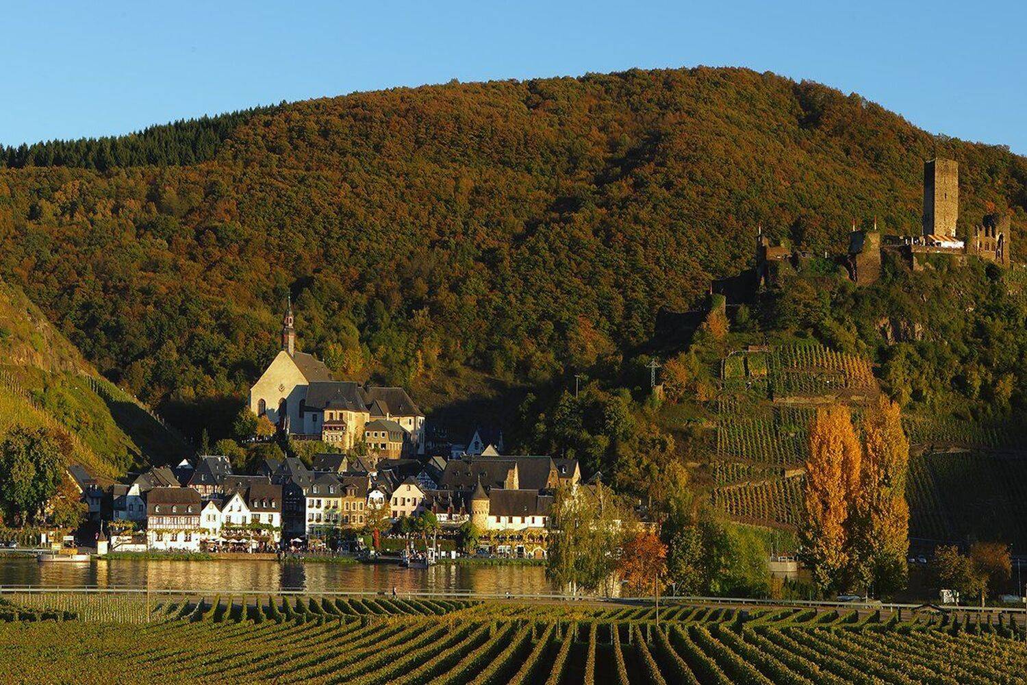 , Игорь Дубровский