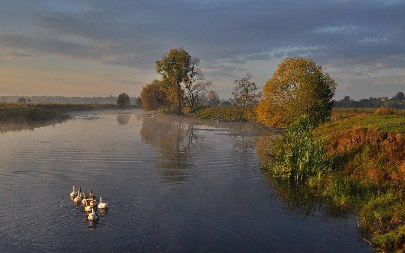 , Володимир Карчевський