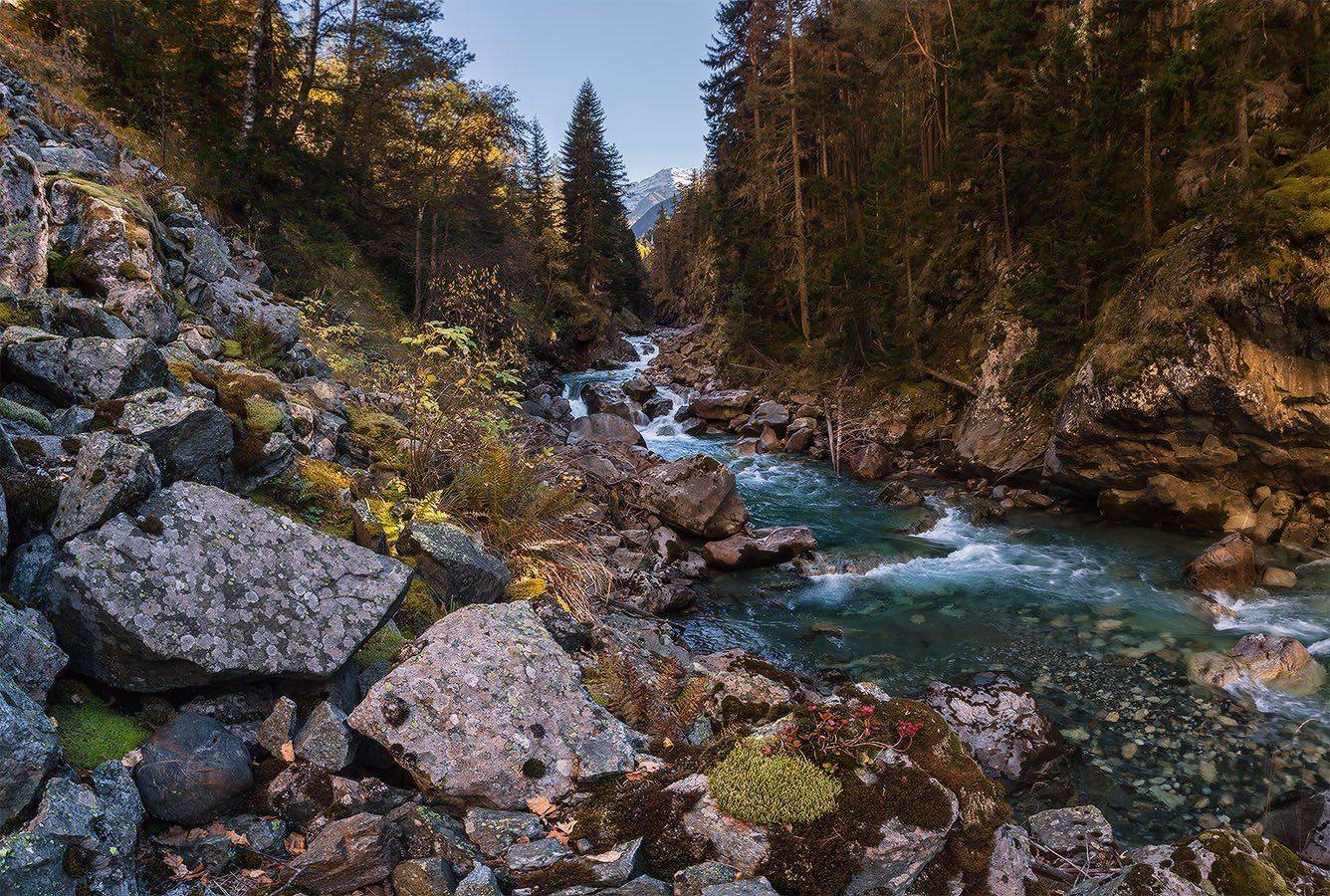 западный кавказ гоначхир осень, Николай Мысливцев