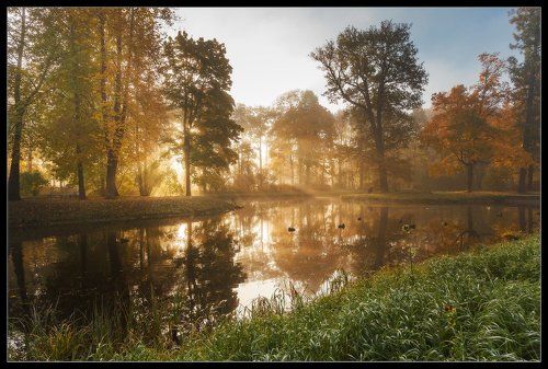 про_Свет Осени...