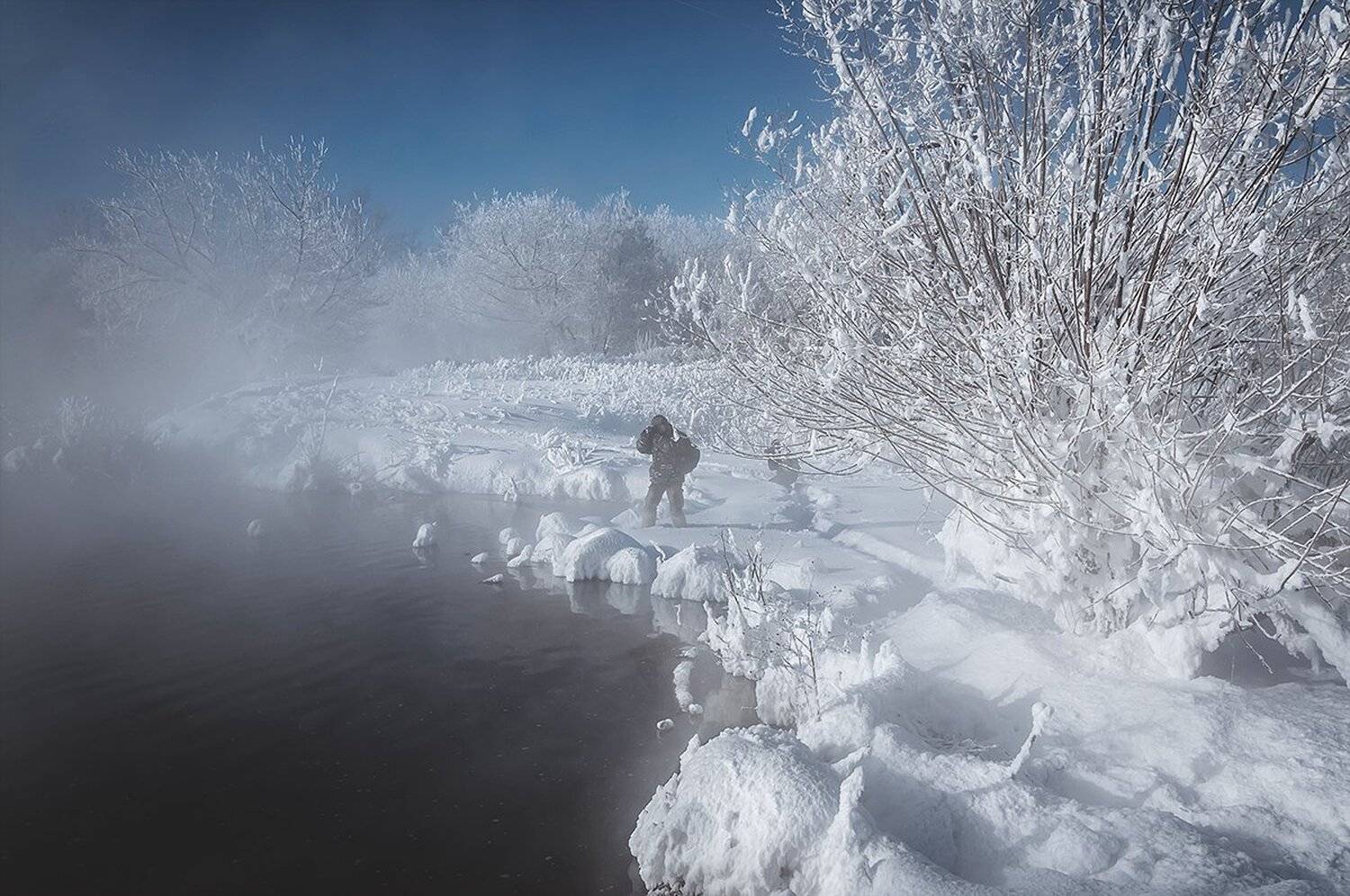 , Анатолий Зверев