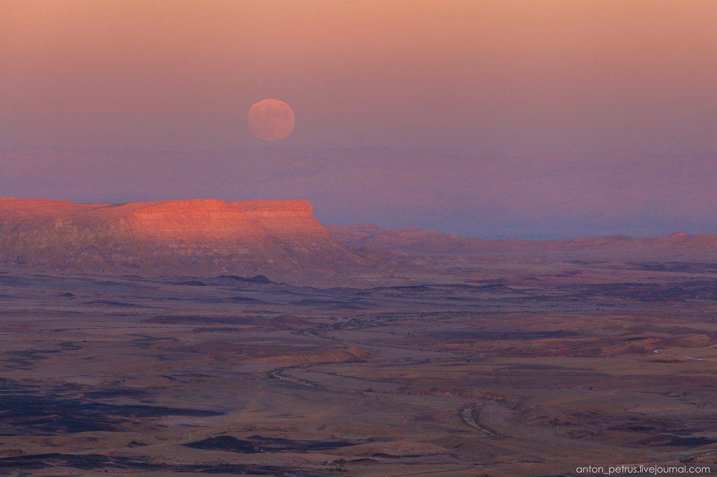 , Антон Петрусь